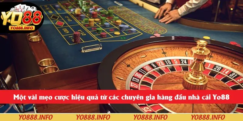 Một vài mẹo cược hiệu quả từ các chuyên gia hàng đầu nhà cái Yo88
