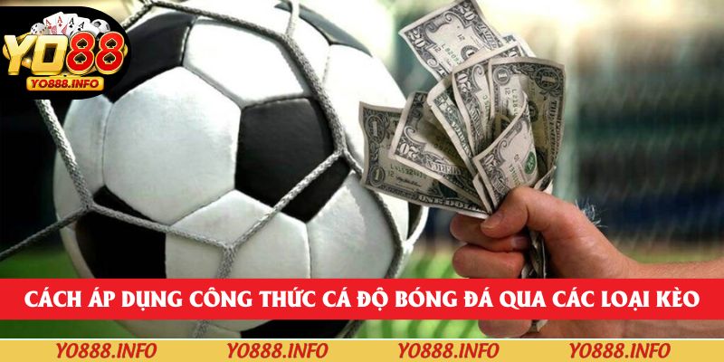 Cách áp dụng công thức cá độ bóng đá qua các loại kèo