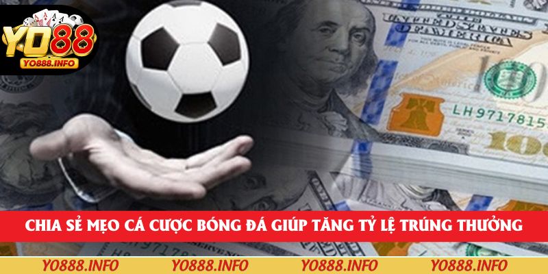 Chia sẻ mẹo cá cược bóng đá giúp tăng tỷ lệ trúng thưởng