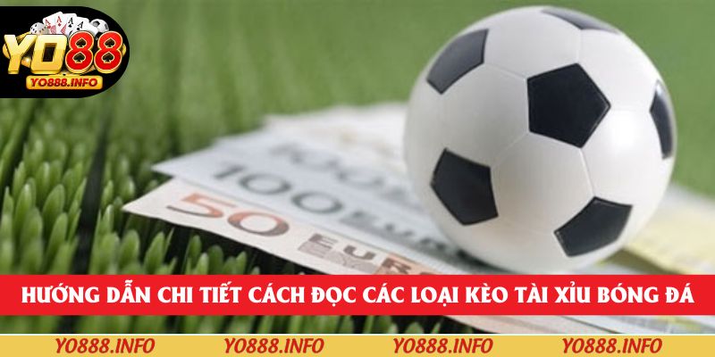 Hướng dẫn chi tiết cách đọc các loại kèo Tài xỉu bóng đá
