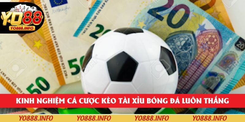 Kinh nghiệm cá cược kèo Tài xỉu bóng đá luôn thắng