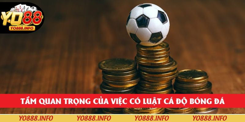 Tầm quan trọng của việc có luật cá độ bóng đá